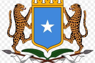 War-saxaafadeed: Dowladda Soomaaliya oo digniin ka soo saartay falalka lagu dhaawacayo amniga caasimadda