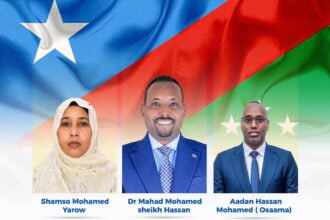 Madaxweyne Xasan Sheekh oo u Hambalyeeyay guddoonka cusub ee Golaha Wakiillada Koonfur Galbeed