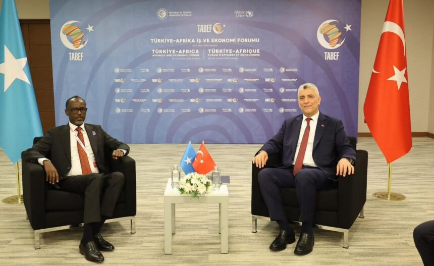 وزير التجارة يبحث مع نظيره التركي تعزيز التعاون التجاري