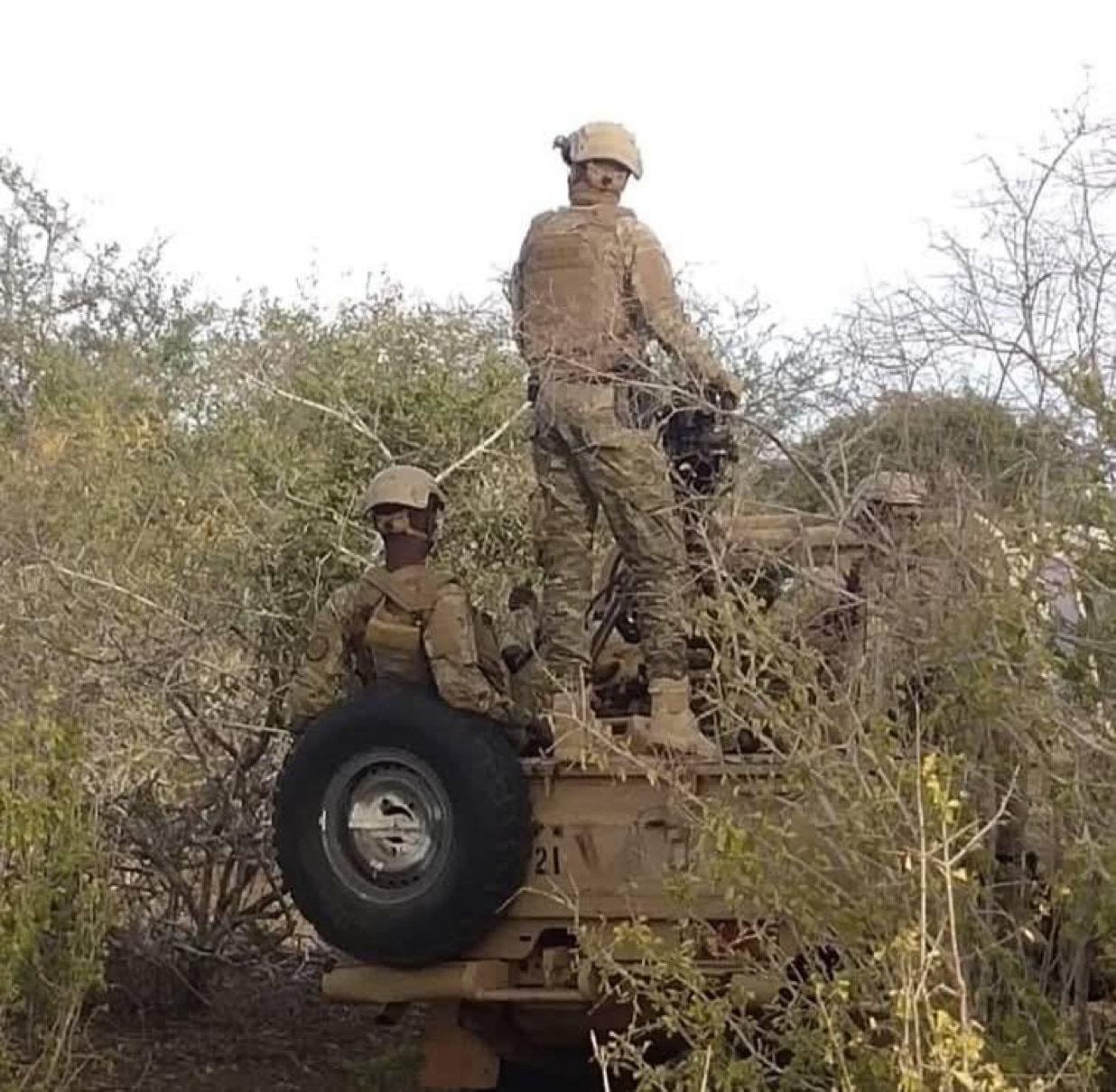 Somalia Security Forces Kill 33 Al-Shabaab Militants in Operation in Middle Shabelle