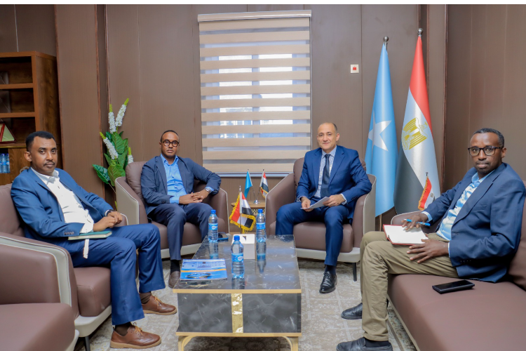 SoDMA Commissioner and Egyptian Ambassador Strategize on Disaster Management; Cairo Pledges Advanced Technical Training