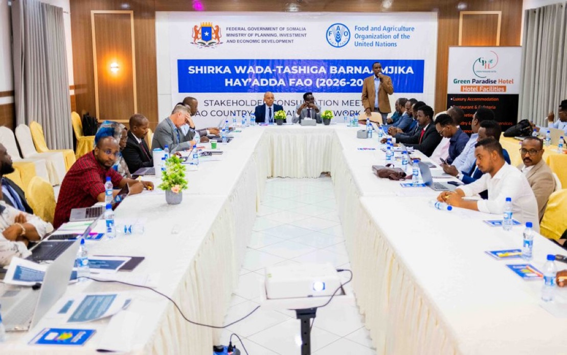 Planning Ministry convenes consultation workshop on FAO CPF 2026-2030