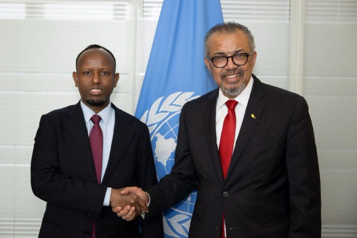Health Minister Discusses Collaboration with WHO Director-General in Geneva