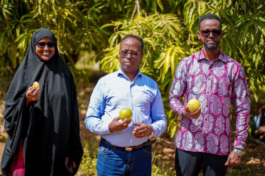 Minister of Agriculture inspects farms in Afgooye district