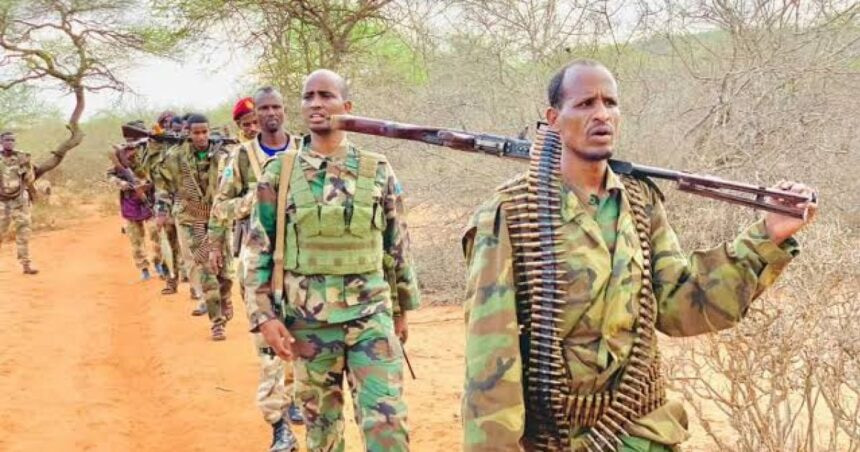 Somali National Army Launches Operation Against Al-Shabaab Terrorists in Hawaadley