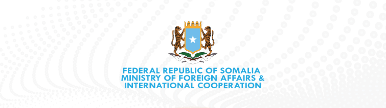 Somalia Condemns Deadly Terrorist Attacks in Northwestern Nigeria, Calls for Unified Continental Defense