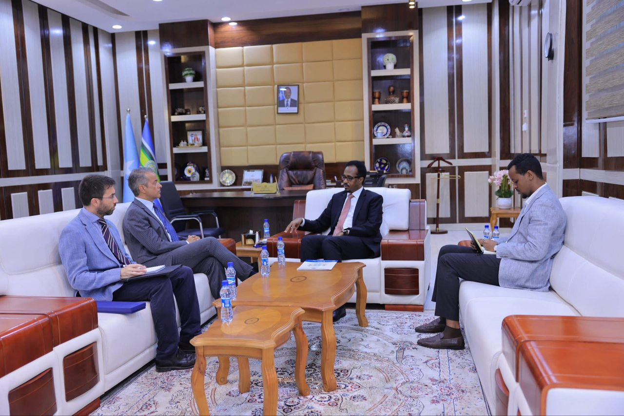 Somalia and Italy Discuss Expansion of Industrial Cooperation and Investment in High-Level Meeting