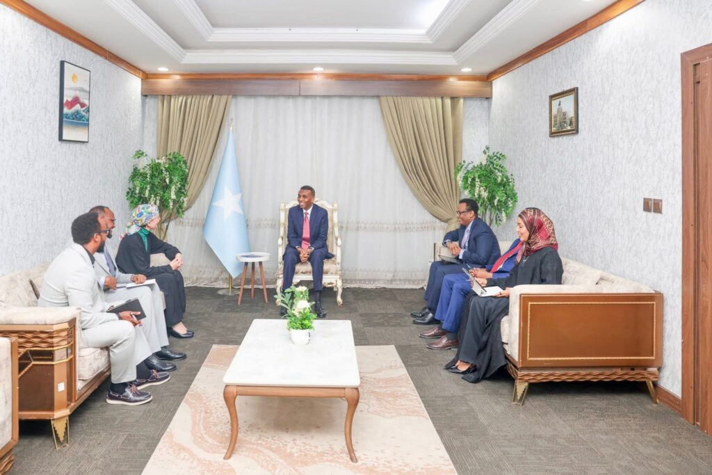 Prime Minister Hamza Meets Newly Appointed UNICEF Representative to Somalia