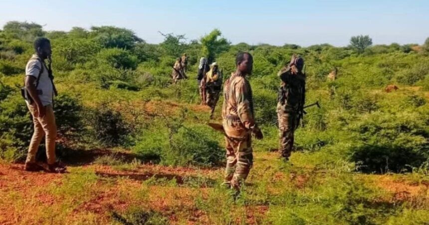 Somali National Army Conducts Major Operations in Lower Shabelle