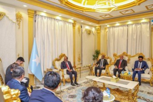 President Hassan discusses strengthening relations with Chinese Special Envoy