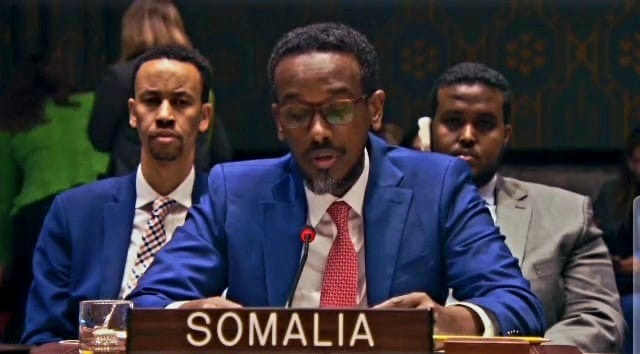 Somali Cabinet Approves Promotion of Mohamed Rabiic Yusuf to Ambassador Rank