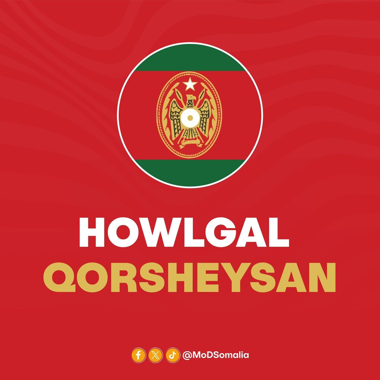Ciidamada Xoogga Dalka oo howlgal qorsheysan ku dilay afar dhaqar-qabe