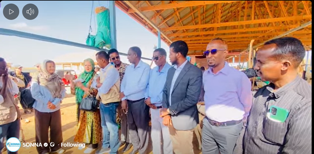 Xubno ka socday Xukuumadda Galmudug iyo Safaardda Sweden oo kormeeray suuqa xoolaha Gaalkacyo iyo goobo kale