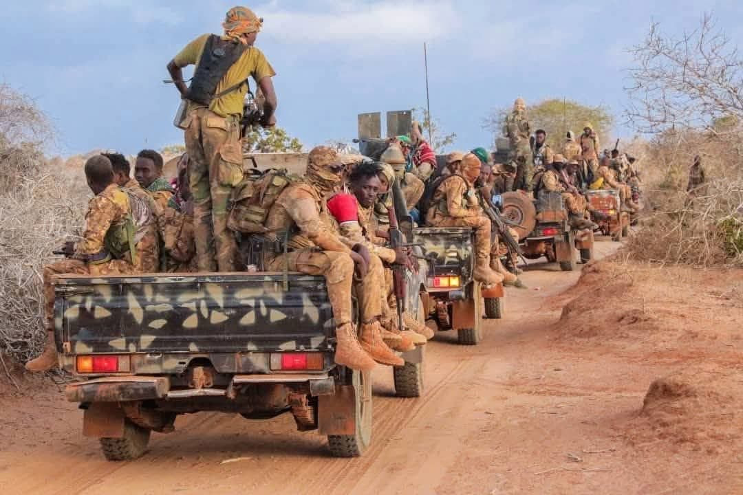 Somali National Army and Partners Annihilate Over 130 Militants in Kudhaa Counter-Offensive