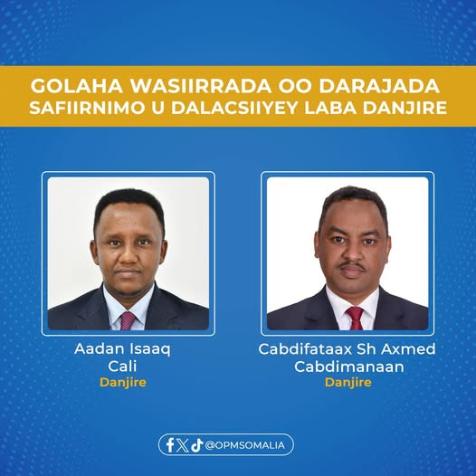 Federal Cabinet Elevates Two Senior Officials to the Rank of Ambassador to Fortify Diplomatic Corps