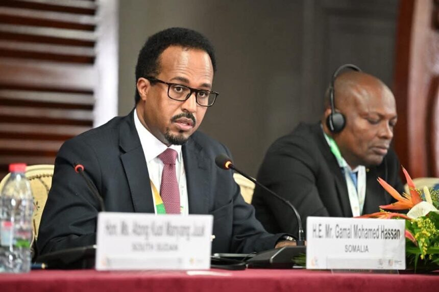 Somalia Advances Global Economic Integration at the 14th WTO Ministerial Conference in Cameroon